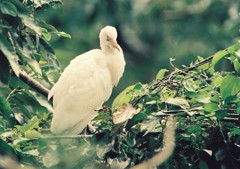 精悍な顔つき！