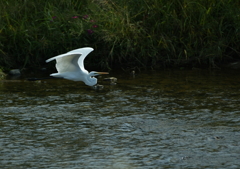 1.水面を定番スタイルで・・・