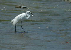 ちょっと小振りだったね！