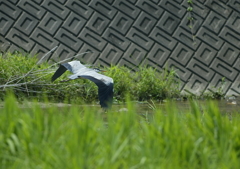 不意打ち・・・