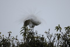 お花が咲いた(^-^)