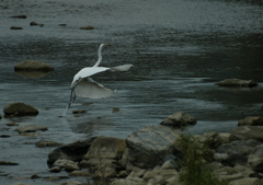 次は何処へ行くの？・・・②