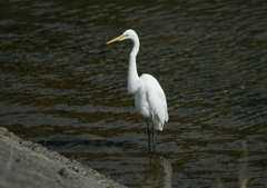 スマートなこと・・・(^-^)