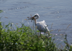 1.捕らえた獲物は・・・