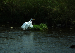 降り立つ・・・