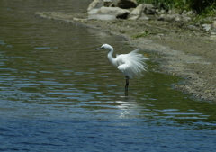 ブルブルッ・・・⑦