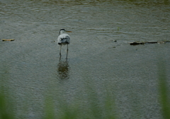 後姿撮らせてね・・・