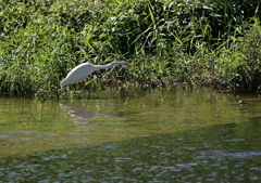 狩猟中・・・⑨