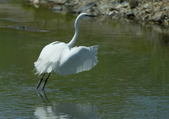 じゃんけんっ・・・