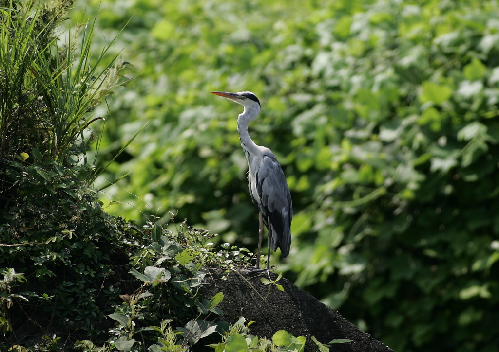 何を想う？・・・