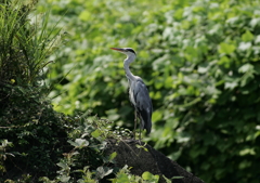 何を想う？・・・