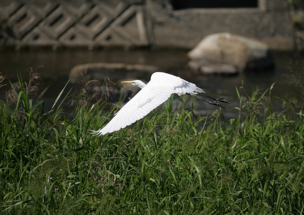 8.飛び立ちシーン⑦