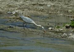 お食事中・・・②