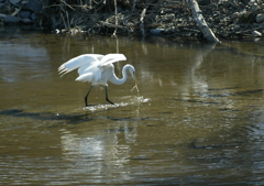 獲物ゲ～ット・・・