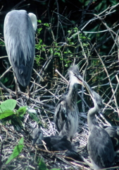 穏やかな時間・・・。