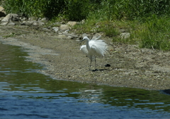 プライベーチビーチ・・・