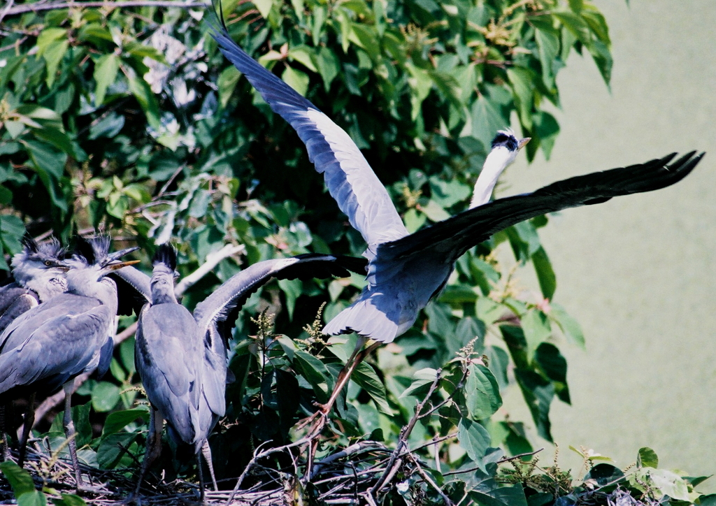 少し待っててね！