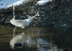走り幅跳び？・・・②