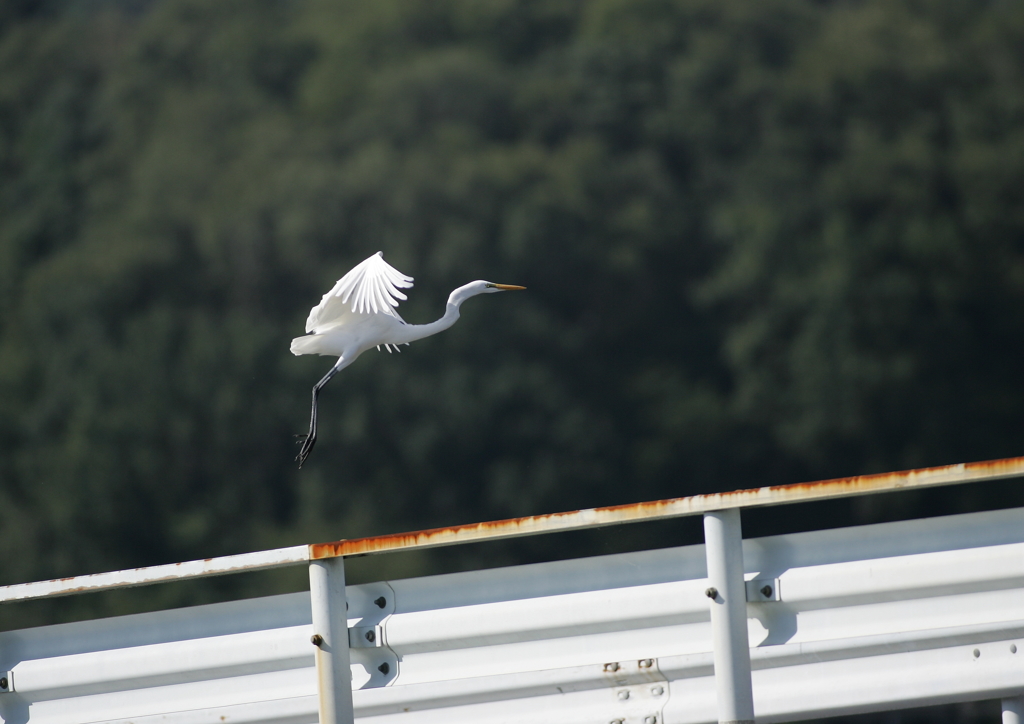 3.人の気配！逃げなきゃ・・・②
