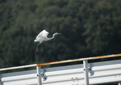 3.人の気配！逃げなきゃ・・・②