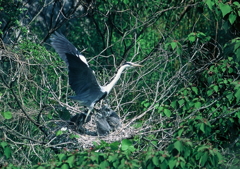 1.ちょっと出掛けるわよ・・・