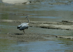 ん？・・・察知