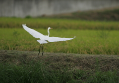 3.着地するよっ！・・・