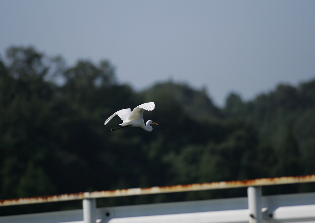 8.人の気配！にげなきゃ・・・⑦
