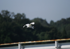8.人の気配！にげなきゃ・・・⑦