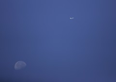 月と飛行機・・・