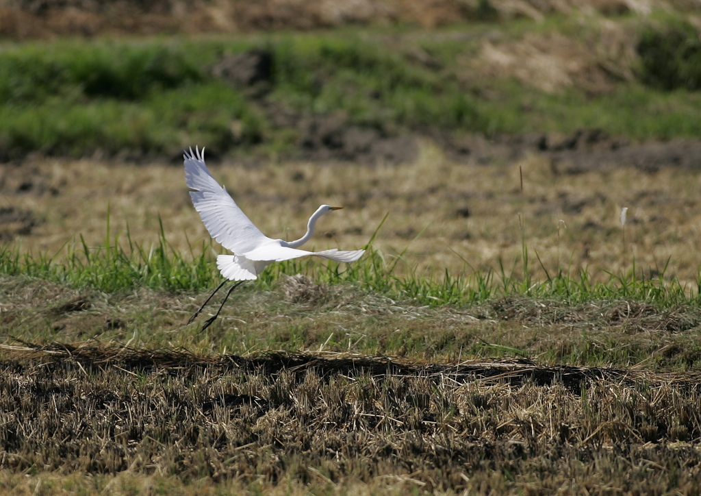 再び空中へ・・・②