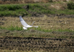 再び空中へ・・・②