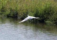 3.どこへ連れて行くの？②