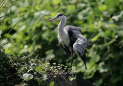 軽めのブルブル・・・⑥