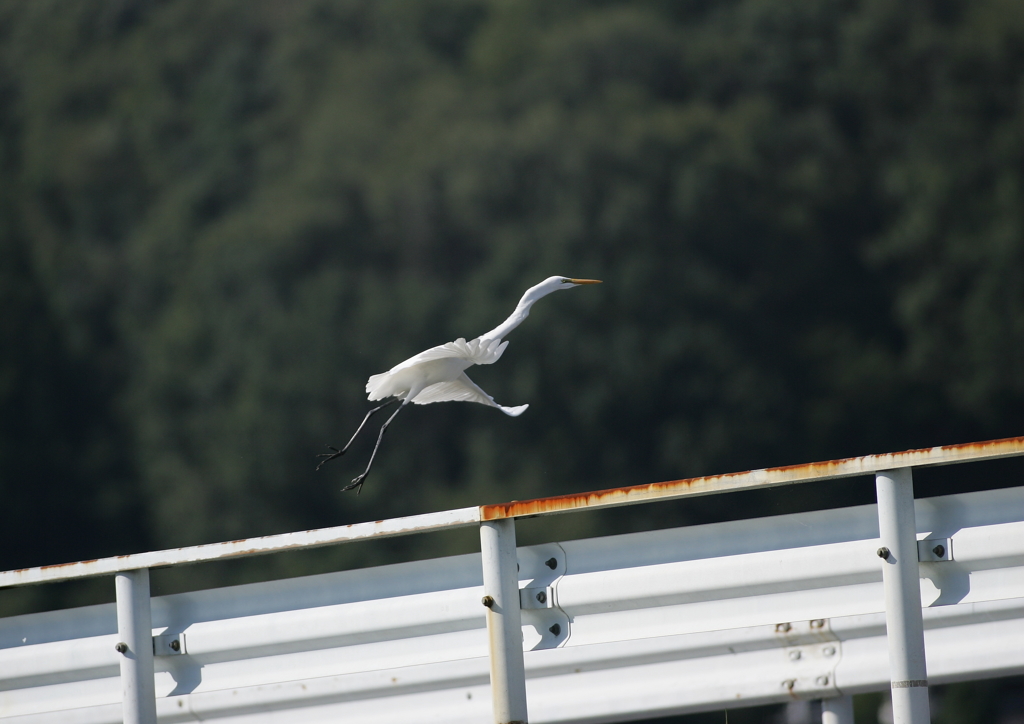 2.人の気配！逃げなきゃ・・・