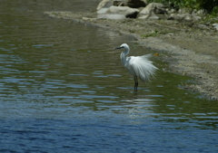 ブルブルッ・・・⑩