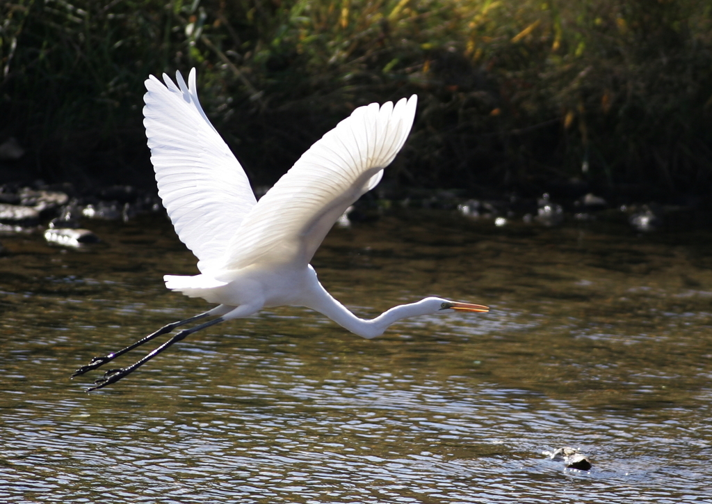 1.短距離飛行・・・