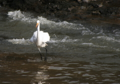 激流を背に・・・