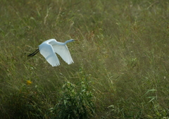 3.華麗なる瞬間・・・③