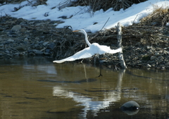 スキップ？・・・