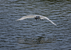 5.どこまで連れて行くの？