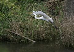4.飛び立つ・・・③