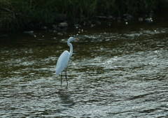 ボ～・・・(-.-)