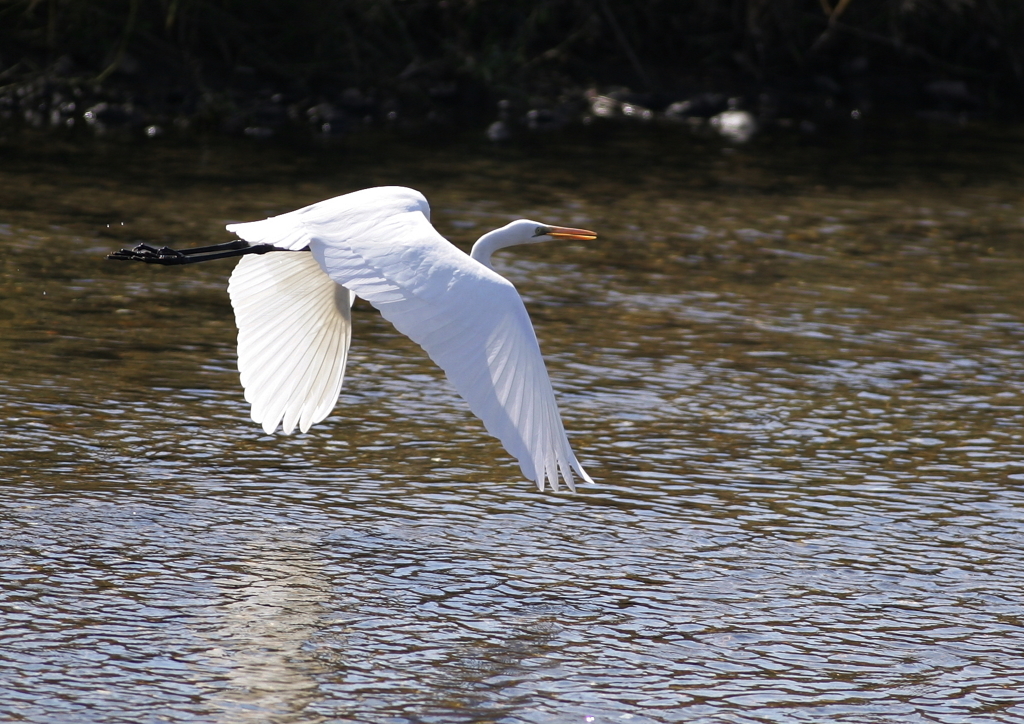 2.短距離飛行・・・②