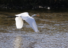 2.短距離飛行・・・②