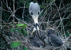 どうしたの？拾い食いはダメよっ・・・