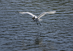 6.どこまで連れて行くの？②