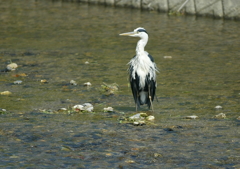 仁王立ち？・・・