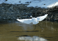 フィギアスケート？・・・②