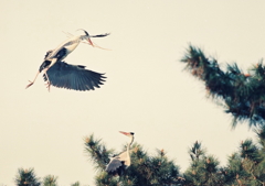 お待ちど～さまぁ・・・。